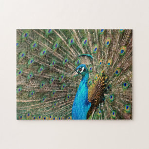 Der blaue Pfau Pussel