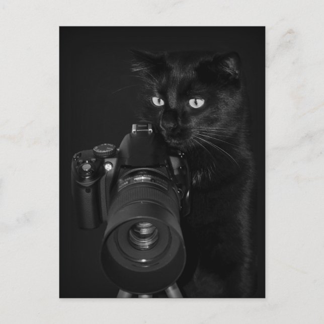 Der Fotograf - Postkarte Vykort (Framsida)