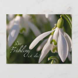 Der Frühling ist da! Vykort