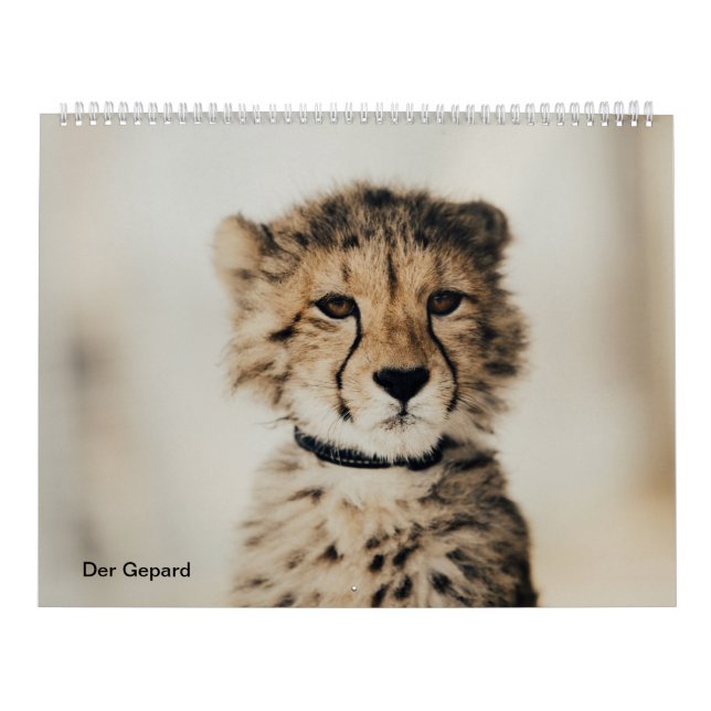 Der Gepard Kalender (Omslag)