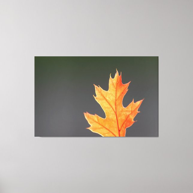 Der Herbst von seiner schönsten Seite! Canvastryck (Framsida)