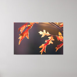 Der Herbst von seiner schönsten Seite! Canvastryck
