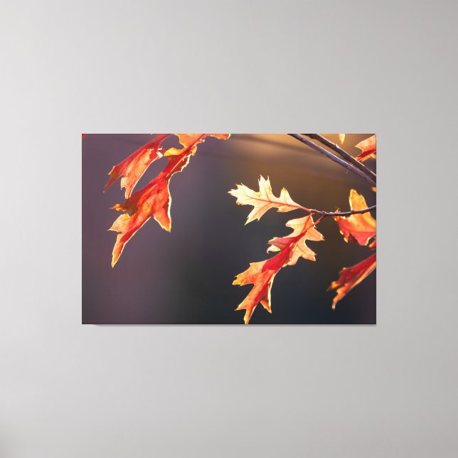 Der Herbst von seiner schönsten Seite! Canvastryck (Framsida)