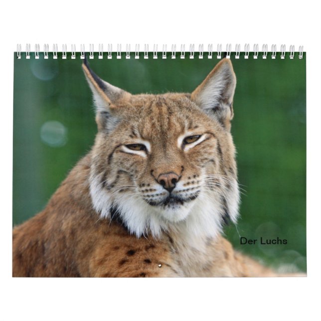 Der Luchs Kalender (Omslag)
