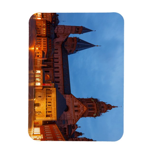 Der Mainzer Dom in Rheinland Pfalz Magnet (Vertikal)