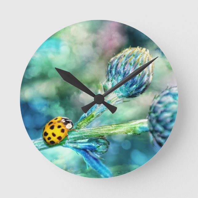 Der Marienkäfer Rund Klocka (Framsida)