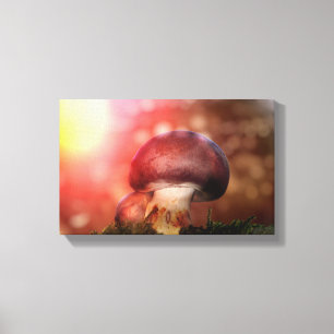 Der Pilz Canvastryck