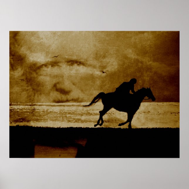 Der Schimmelreiter - Theodor Storm Poster (Framsidan)