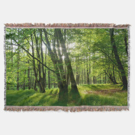 Der Wald im Frühling Filt