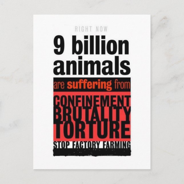 Deras lidande vykort (Framsida)