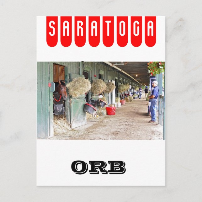 Derby-vinnaren "Orb" som 2 år gammal Vykort (Framsida)