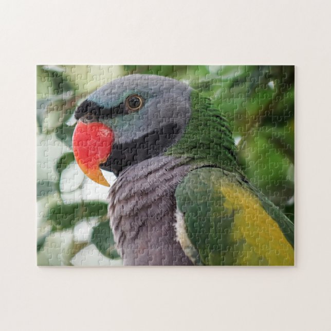 Derbyan Parakeet Jigsaw Puzzle Pussel (Horisontell)