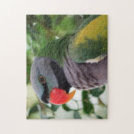Derbyan Parakeet-pussel Pussel