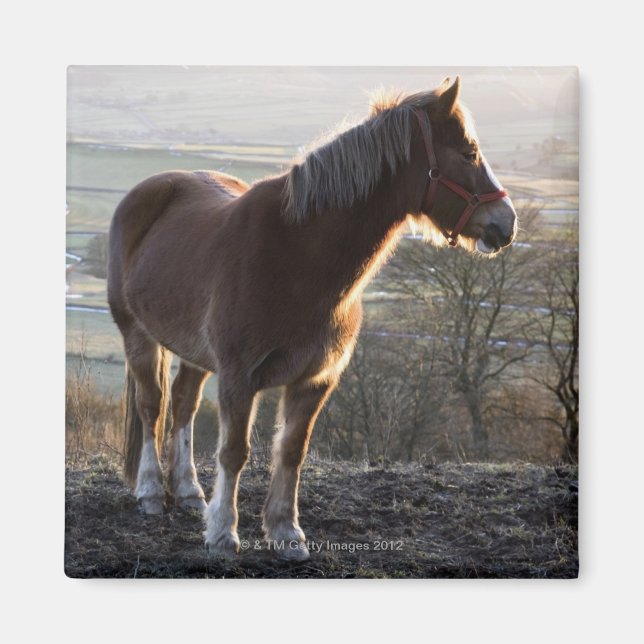 Derbyshire, England Magnet (Framsidan)