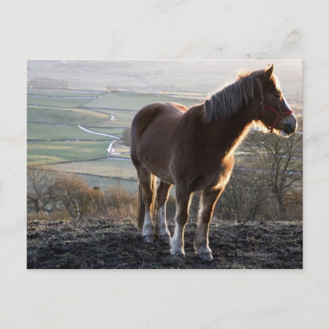 Derbyshire, England Vykort (Framsida)