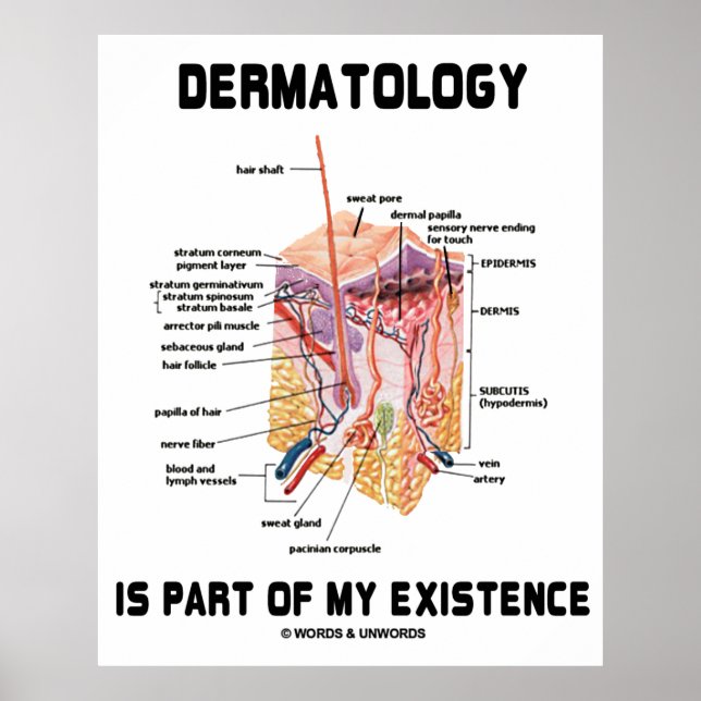 Dermatologi är en del av min existens (anatomi) poster (Framsidan)