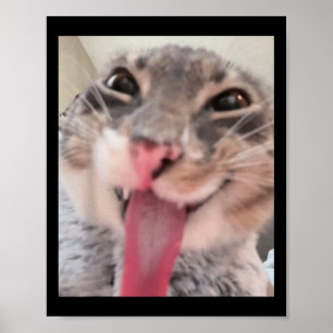 Derpy Cat Tunga Out Meme Funny Weirdcore ger mig r Poster