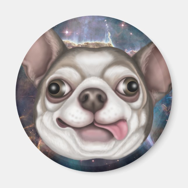 Derpy Chihuahua Magnet (Framsidan)
