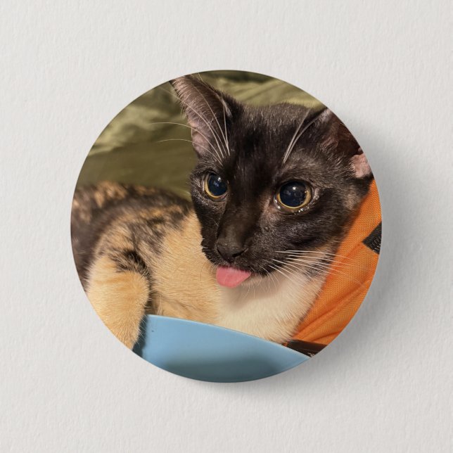 Derpy katt knapp (Framsida)