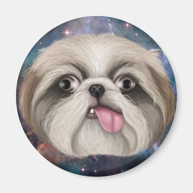 Derpy Shih Tzu Magnet (Framsidan)