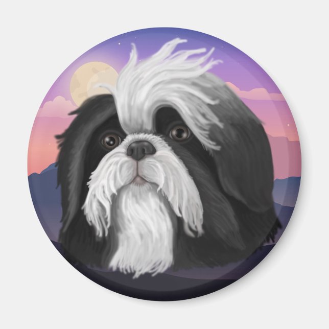 Derpy Shih Tzu Magnet (Framsidan)