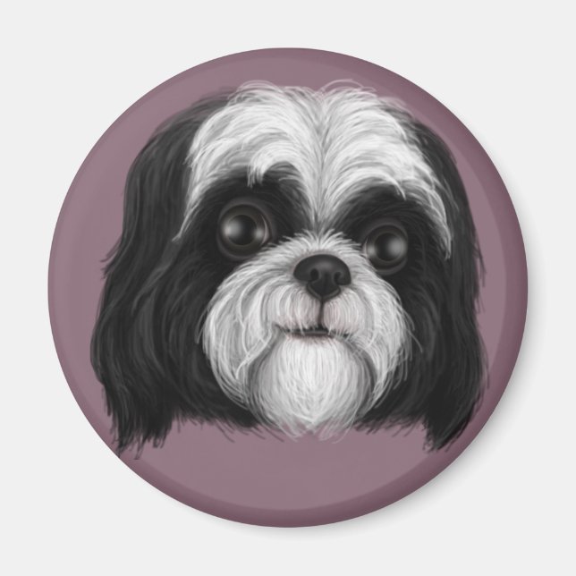 Derpy Shih Tzu Magnet (Framsidan)