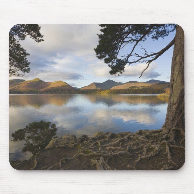 Derwentwater, Lake District, Cumbria, England Musmatta (Framsidan)