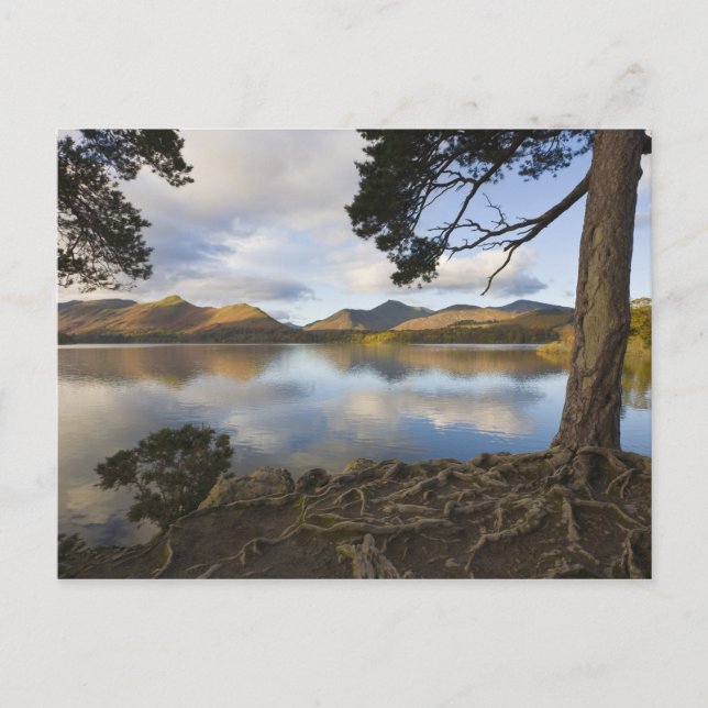 Derwentwater, Lake District, Cumbria, England Vykort (Framsida)