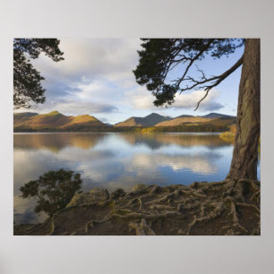 Derwentwater, Sjö District, Cumbria, England Poster