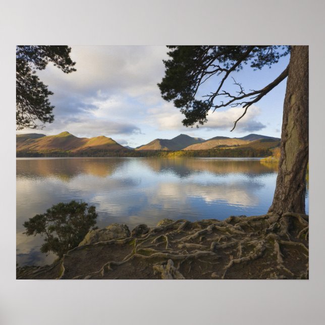 Derwentwater, Sjö District, Cumbria, England Poster (Framsidan)