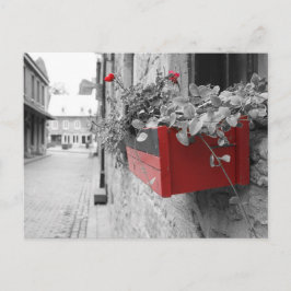 Des fleurs à Montréal Vykort