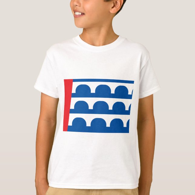 Des Moines City flagga Tee (Framsida)