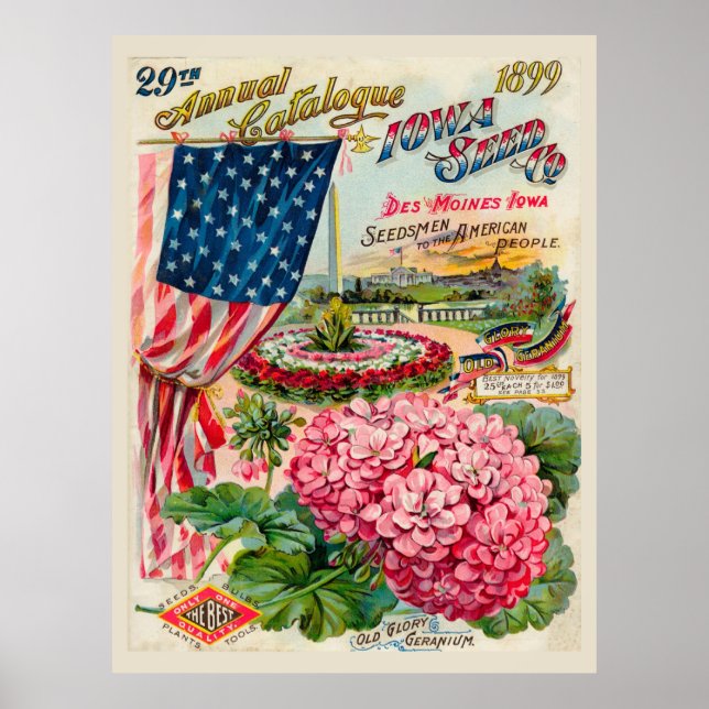 Des Moines, Iowa 1899 Poster (Framsidan)