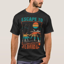 Desantis 2024 Gör Amerika till Florida