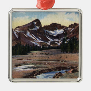 Deschutes nationalskog, ELLER Julgransprydnad Metall