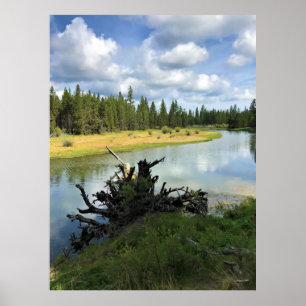 Deschutes River, ELLER Poster