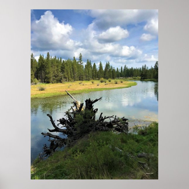 Deschutes River, ELLER Poster (Framsidan)