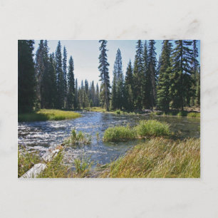 Deschutes River i Little Lava Sjö, Oregon Vykort