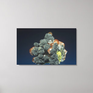 Descloizite på Calcite Canvastryck