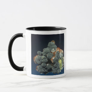 Descloizite på Calcite Mugg