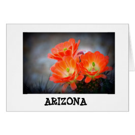 Desert ablaze Arizona Hälsningskort