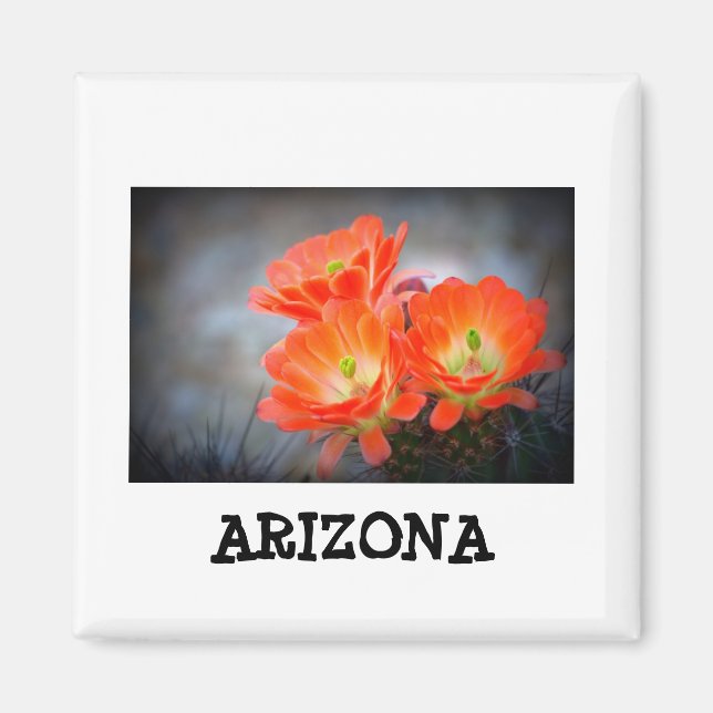Desert ablaze Arizona Magnet (Framsidan)