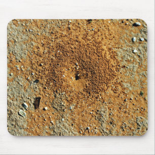 Desert Anthill Musmatta