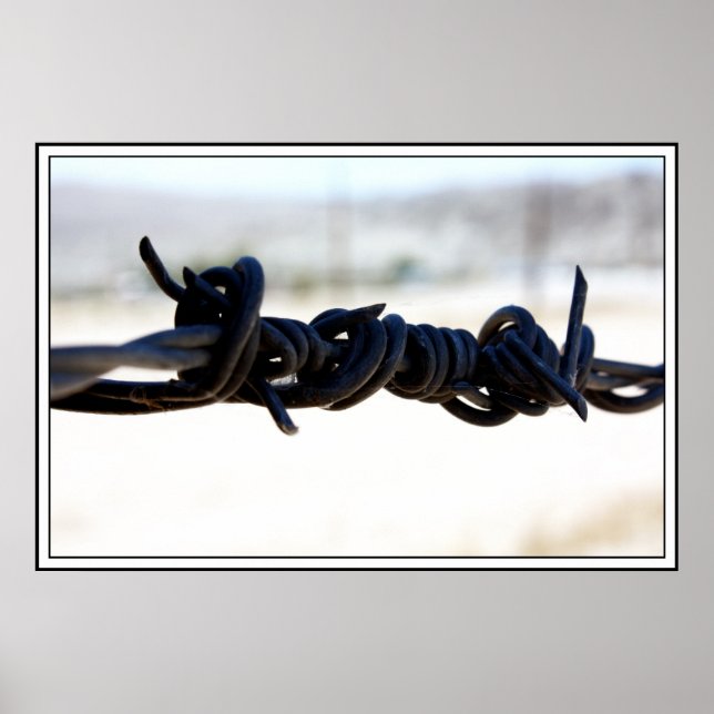 Desert Barbed Wire Poster (Framsidan)