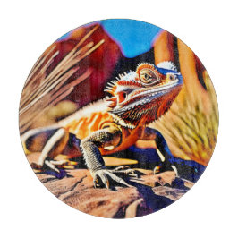 Desert Bearded Dragon