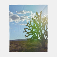 Desert Beauty
