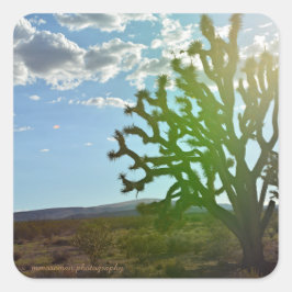 Desert Beauty Fyrkantigt Klistermärke