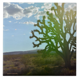 Desert Beauty Kakelplatta