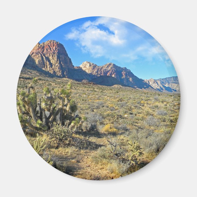 Desert Beauty Magnet (Framsidan)