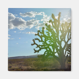 Desert Beauty Magnet